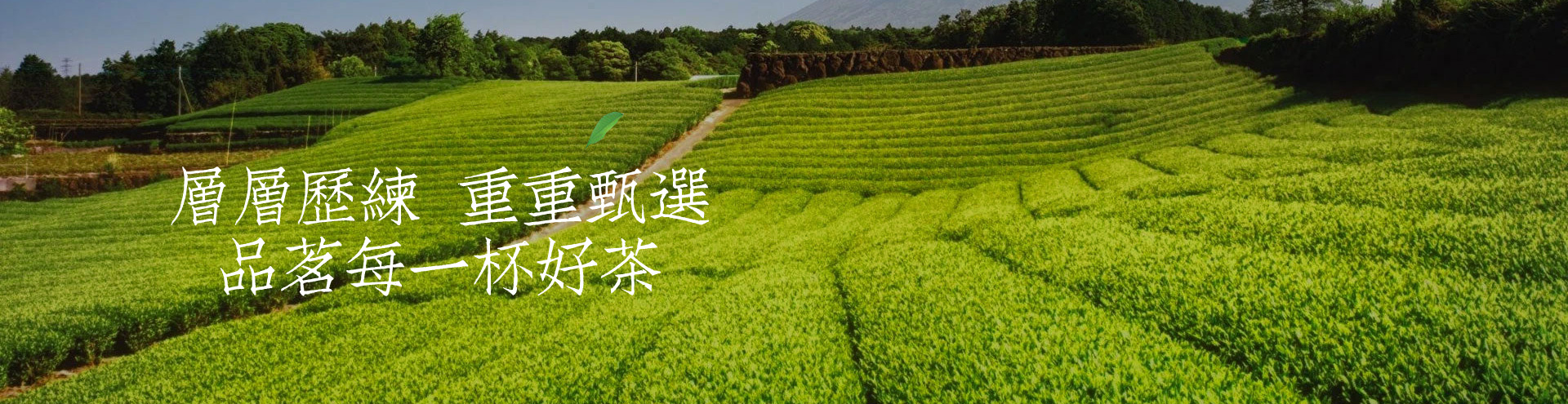 公司簡介
